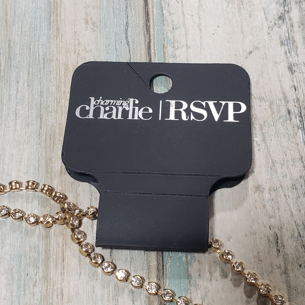 Charming Charlie Necklace. - Picture 8 of 9